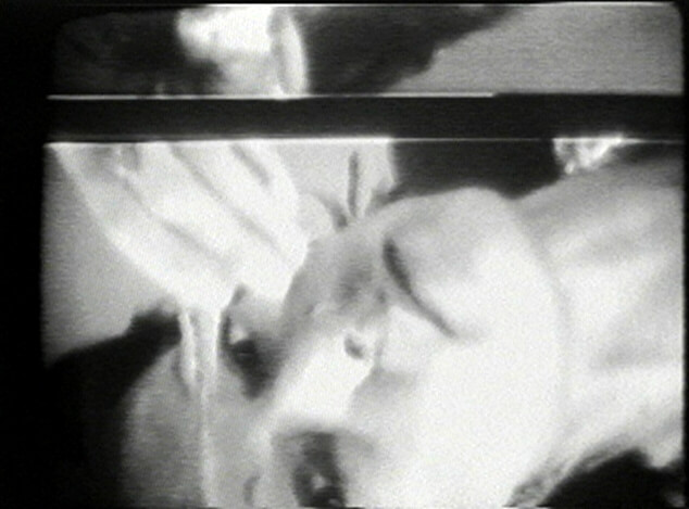 Video Art 101: A Radical Time-Based Exploration of Moving Images 1 Joan Jonas Vertical Roll 1
